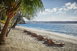 Costa Rica beach photo for Penn Radiology CME